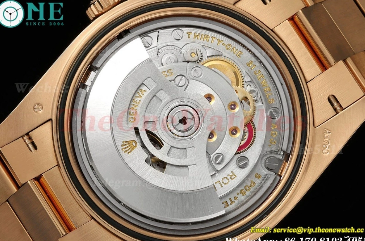 SH3255(Tungsten 40mm THBF Grey Dial Heavy RG RG Version) DayDate 228235 0420